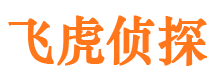 云梦市侦探调查公司